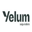 yellum2-quad