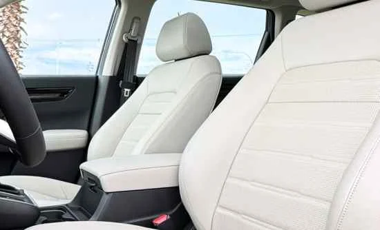 Higienização e Hidratação dos Bancos de couro 