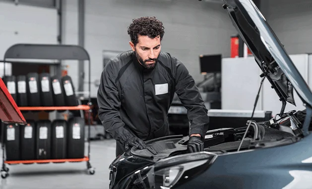 Viva o verão e suas aventuras