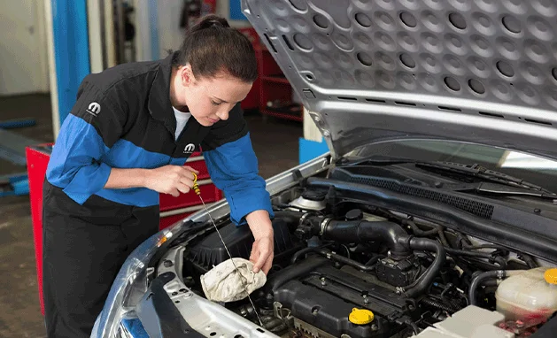 Óleo, filtro de óleo, filtro de ar do motor, filtro de combustível e anel de bujão