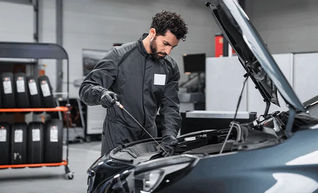 Óleo, filtro de óleo, filtro de ar do motor, filtro de combustível e anel de bujão