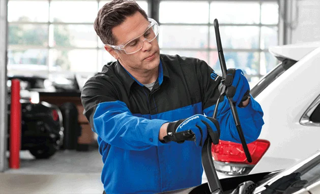 Jogo de palhetas BProauto