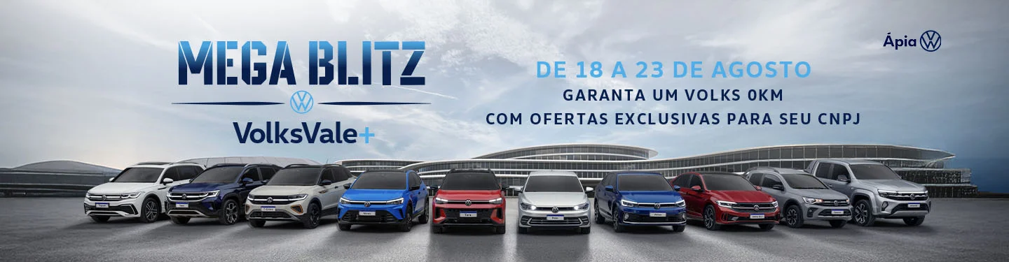 Mega Blitz CNPJ