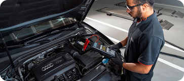 Serviços de Proteção