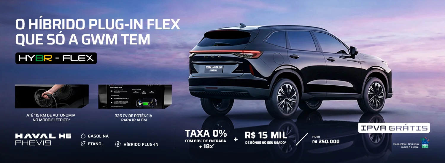 3-PHEV19-bd