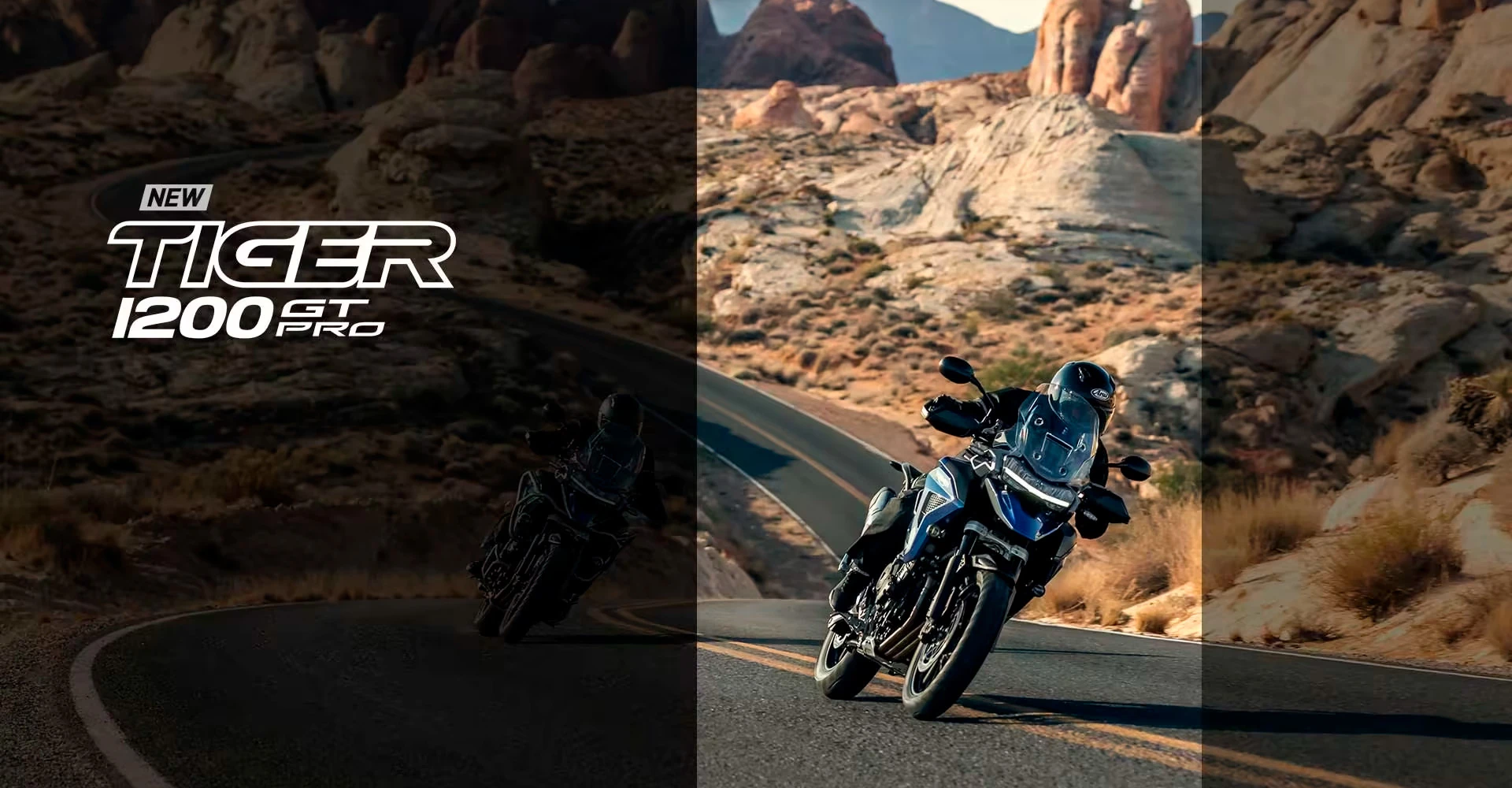 banner_desktop_tiger-1200-gt-pro-vdp.webp