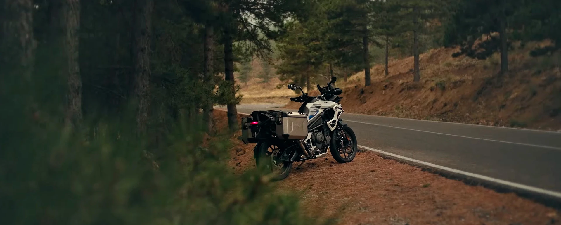 banner_desktop_triumph-tiger1200alpine-banner-desktop.webp.webp?v=1772740229