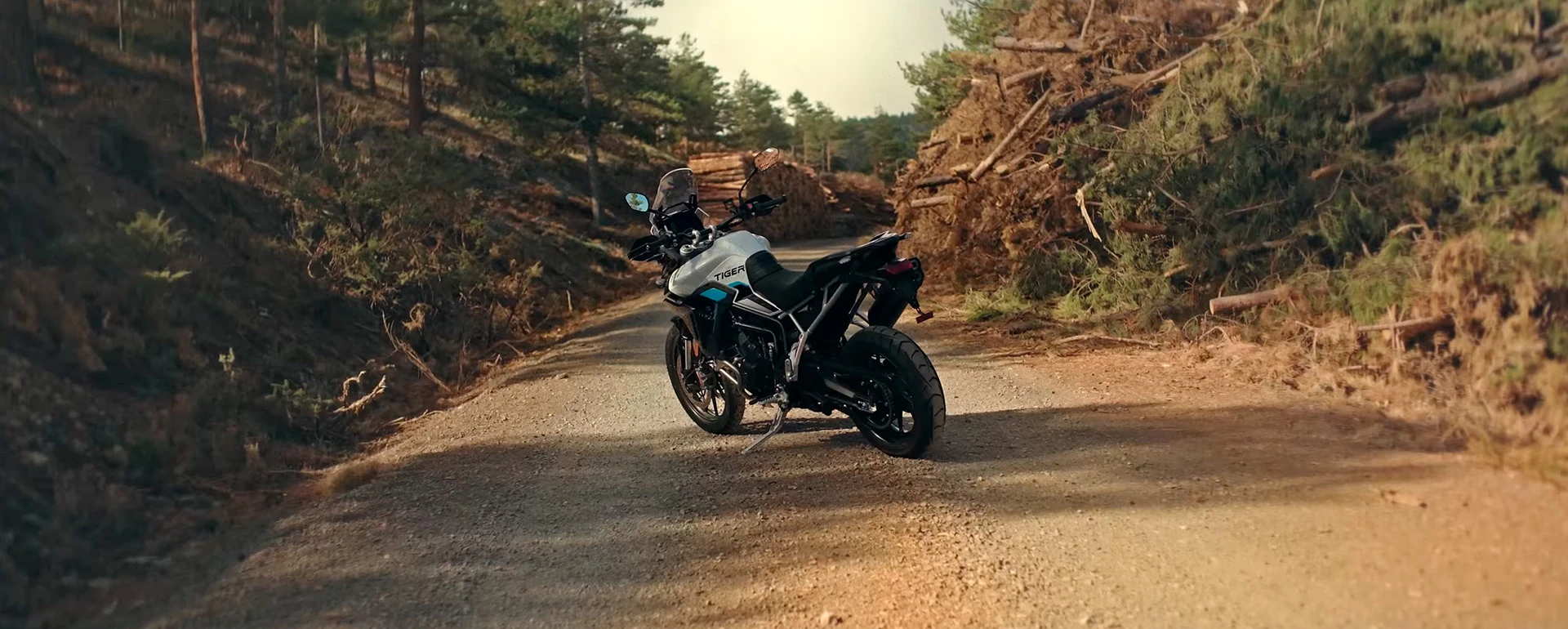 banner_desktop_banner-desktop.webp.webp?v=1772738675