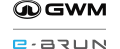 GWM e-BRUN Grupo AF6