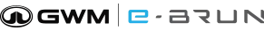 GWM e-BRUN Grupo AF6