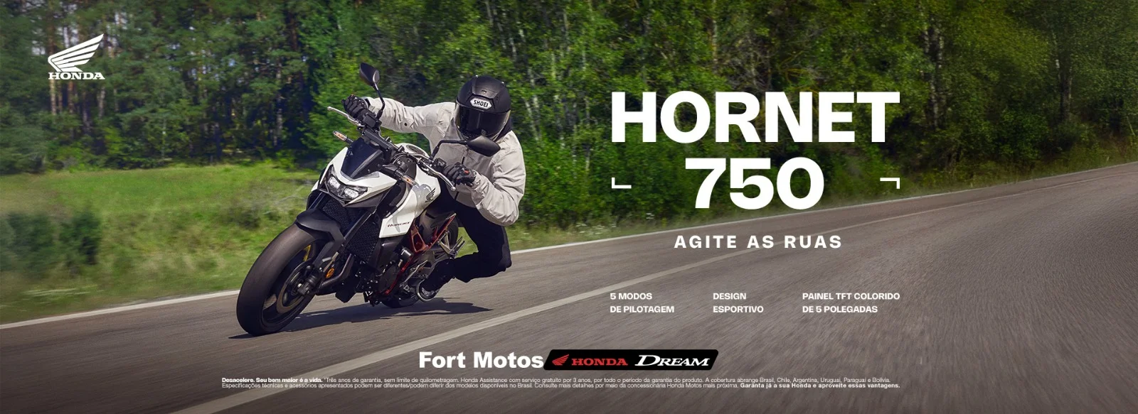 BANNER%20HORNET%20750%20SITE%20DREAM