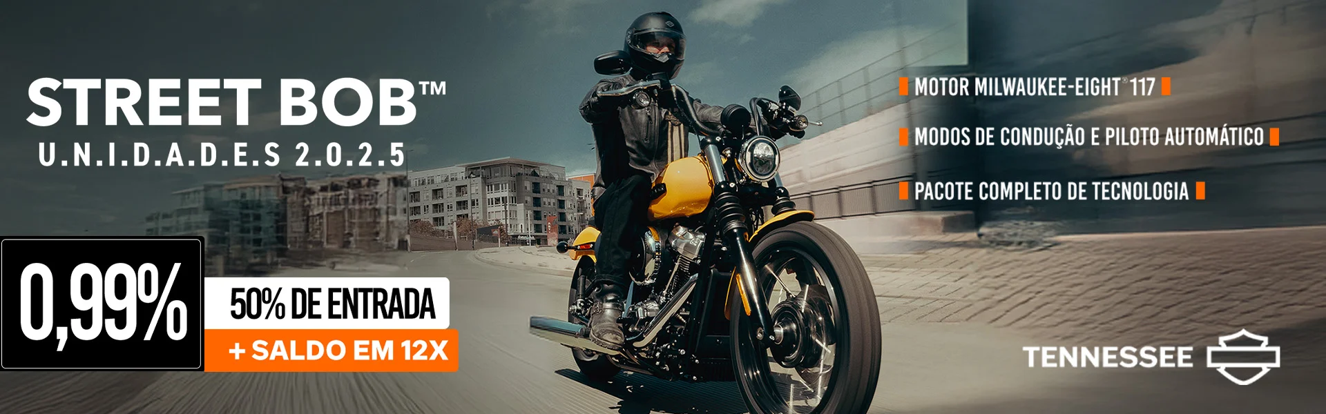 BANNER STREET BOB