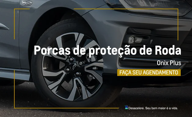 PORCAS DE PROTEÇÃO DE RODAS ONIX PLUS