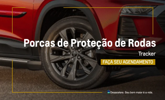 PORCAS DE PROTEÇÃO DE RODAS TRACKER