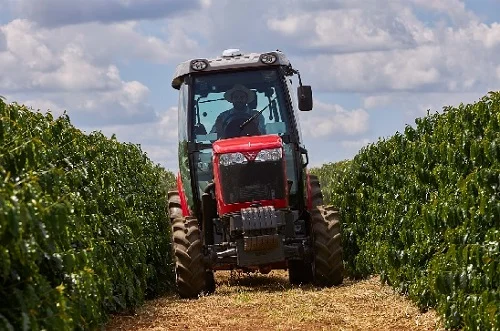 MF 3407: Potência e Economia na Colheita de Café