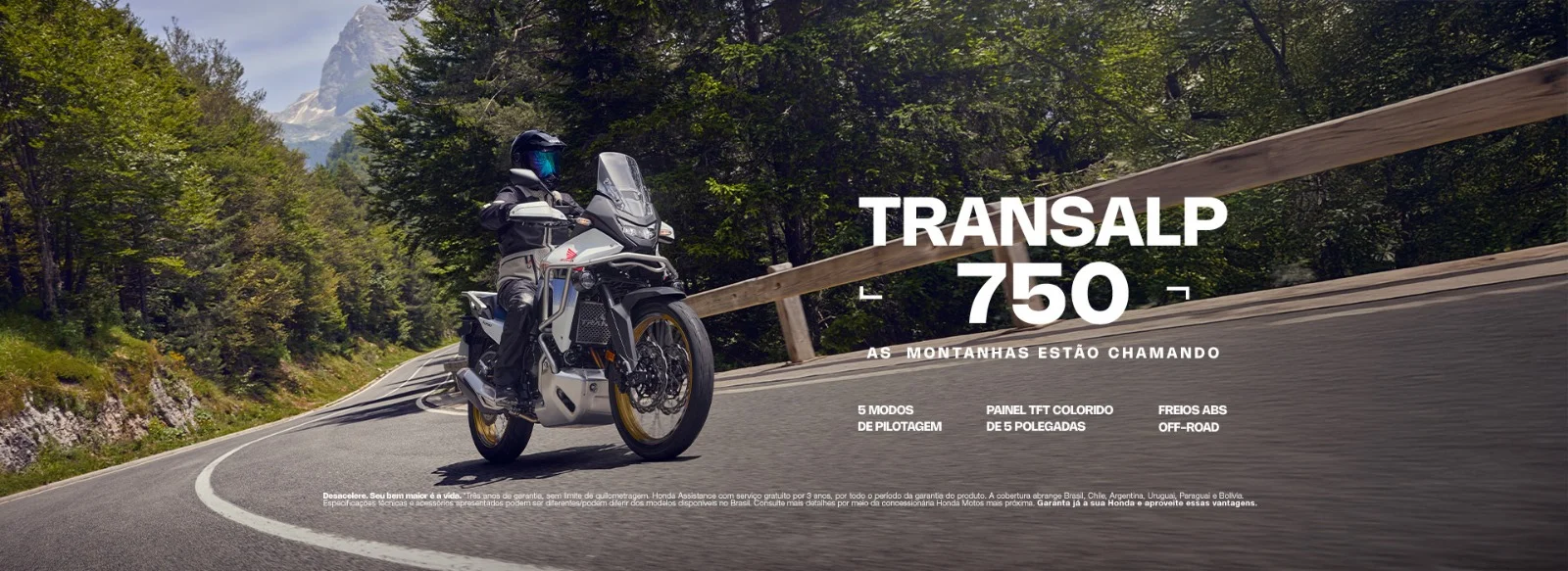 WhatsApp%20Image%202026-01-20%20at%2015.56.49