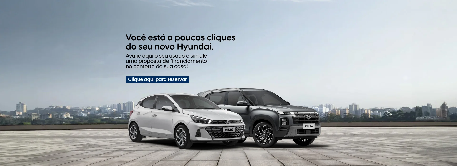 Banner-carros-2a