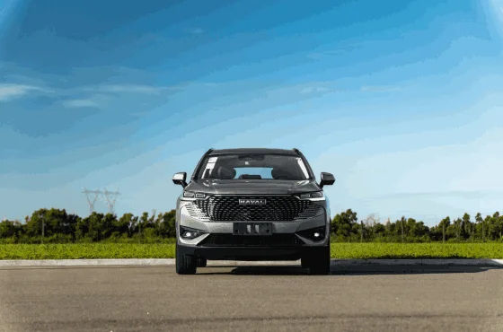 Qual carro GWM combina com você?