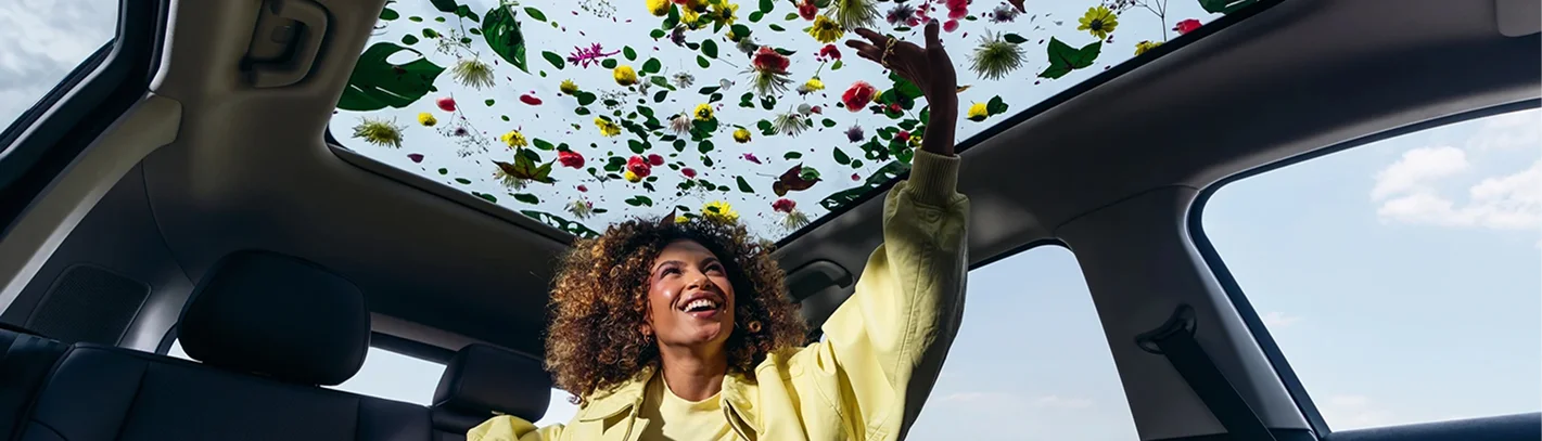 Leapmotor - Institucional