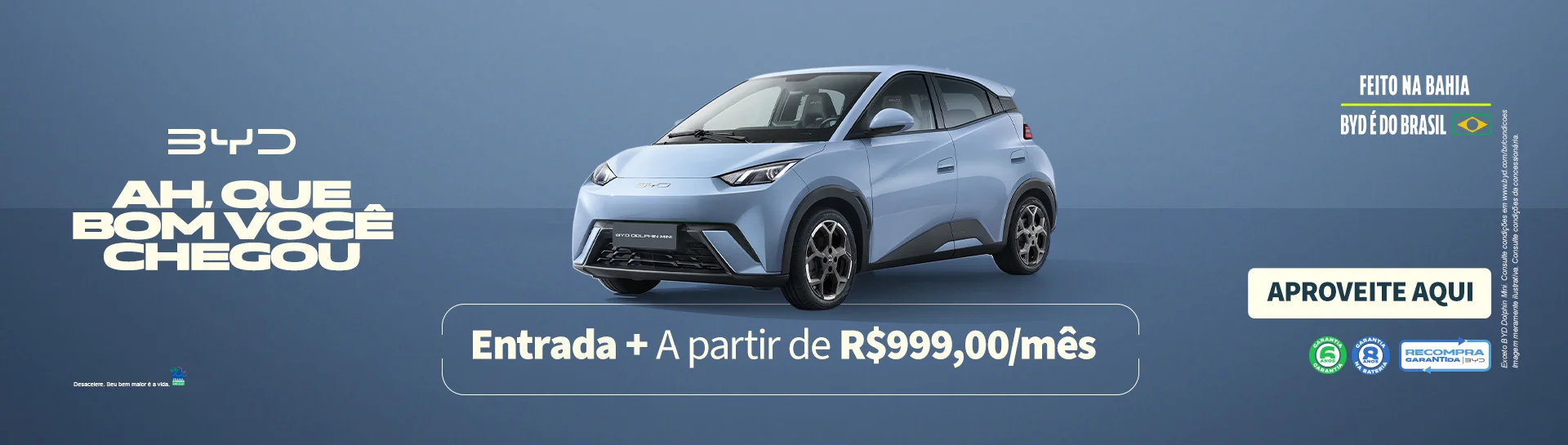 BANNER%20SITE%20LEM_DOLPHIN%20MINI