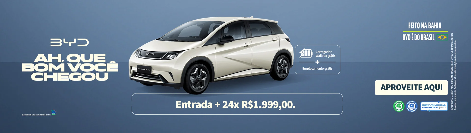 BANNER%20SITE%20LEM_DOLPHIN