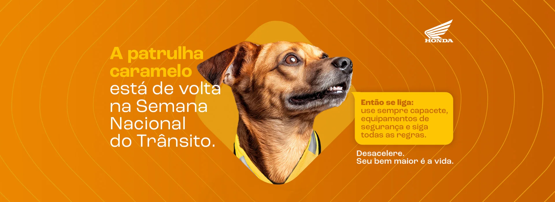 Semana Nacional do trânsito